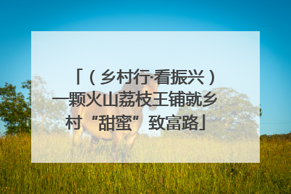 （乡村行·看振兴）一颗火山荔枝王铺就乡村“甜蜜”致富路