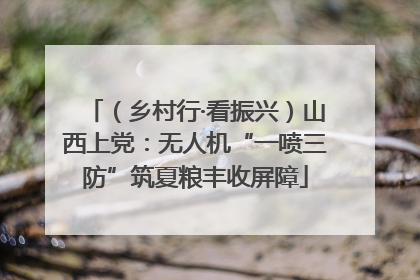 （乡村行·看振兴）山西上党：无人机“一喷三防”筑夏粮丰收屏障