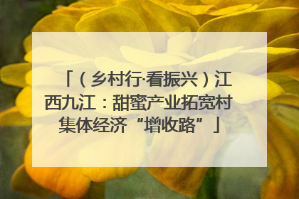 （乡村行·看振兴）江西九江：甜蜜产业拓宽村集体经济“增收路”