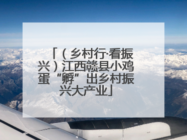 （乡村行·看振兴）江西赣县小鸡蛋“孵”出乡村振兴大产业