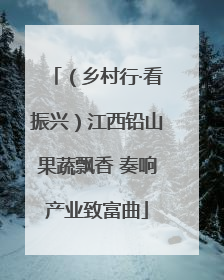 （乡村行·看振兴）江西铅山果蔬飘香 奏响产业致富曲