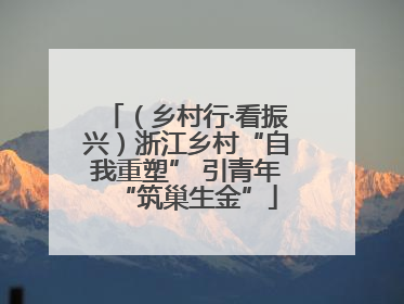 （乡村行·看振兴）浙江乡村“自我重塑” 引青年“筑巢生金”