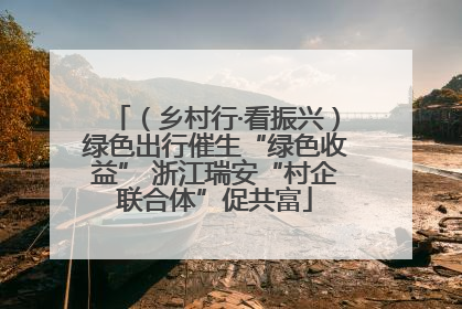 （乡村行·看振兴）绿色出行催生“绿色收益” 浙江瑞安“村企联合体”促共富