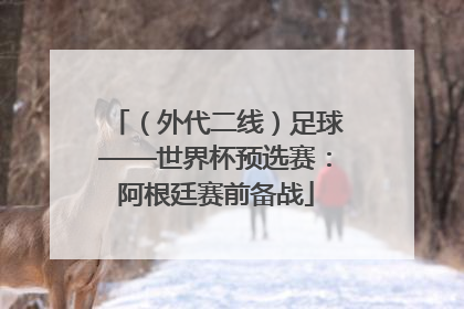 （外代二线）足球——世界杯预选赛：阿根廷赛前备战