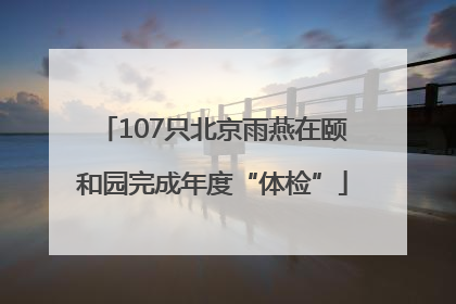 107只北京雨燕在颐和园完成年度“体检”