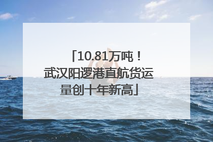 10.81万吨！武汉阳逻港直航货运量创十年新高