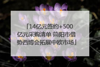 14亿元签约+500亿元采购清单 简阳市借势西博会拓展中欧市场