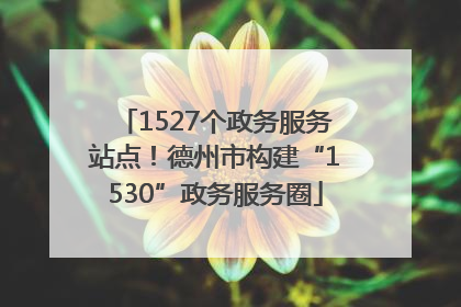 1527个政务服务站点！德州市构建“1530”政务服务圈
