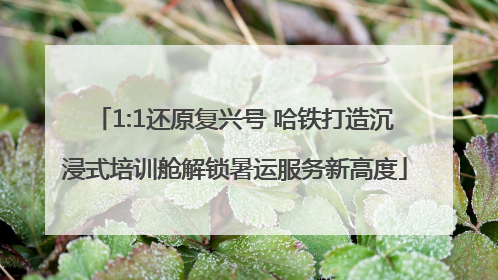 1:1还原复兴号 哈铁打造沉浸式培训舱解锁暑运服务新高度