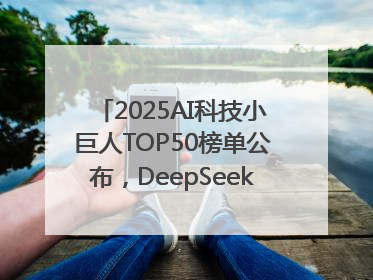 2025AI科技小巨人TOP50榜单公布，DeepSeek、宇树科技、蘑菇车联等企业荣誉上榜