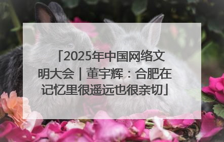 2025年中国网络文明大会｜董宇辉：合肥在记忆里很遥远也很亲切