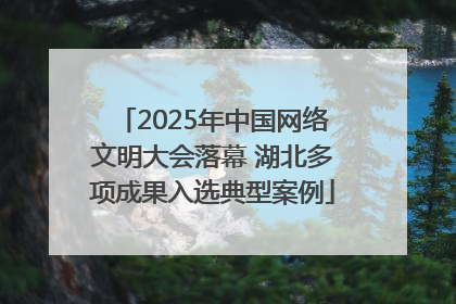 2025年中国网络文明大会落幕 湖北多项成果入选典型案例