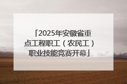 2025年安徽省重点工程职工（农民工）职业技能竞赛开幕