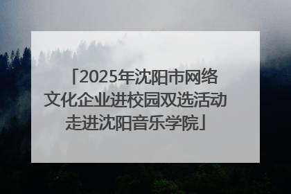 2025年沈阳市网络文化企业进校园双选活动走进沈阳音乐学院
