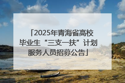 2025年青海省高校毕业生“三支一扶”计划服务人员招募公告