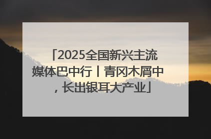 2025全国新兴主流媒体巴中行丨青冈木屑中，长出银耳大产业