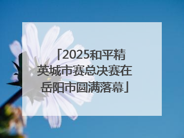 2025和平精英城市赛总决赛在岳阳市圆满落幕