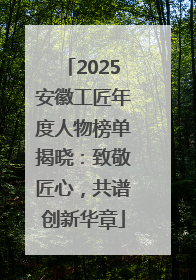 2025安徽工匠年度人物榜单揭晓：致敬匠心，共谱创新华章