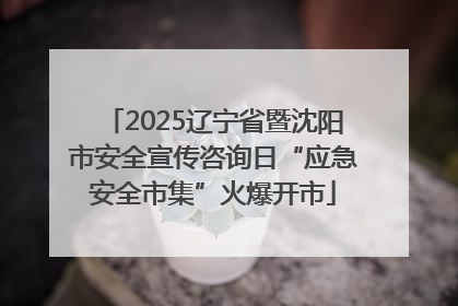2025辽宁省暨沈阳市安全宣传咨询日“应急安全市集”火爆开市