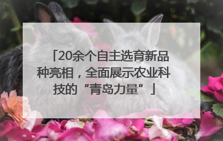 20余个自主选育新品种亮相，全面展示农业科技的“青岛力量”
