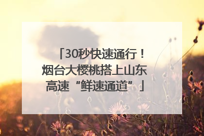 30秒快速通行！烟台大樱桃搭上山东高速“鲜速通道”