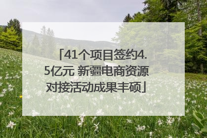 41个项目签约4.5亿元 新疆电商资源对接活动成果丰硕