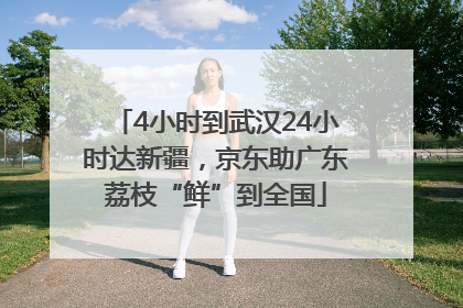 4小时到武汉24小时达新疆，京东助广东荔枝“鲜”到全国