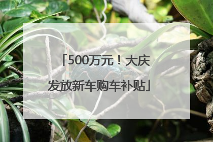 500万元！大庆发放新车购车补贴