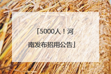 5000人！河南发布招用公告