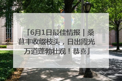 6月1日最佳情报｜桑葚丰收缀枝头，日出霞光万道蓬勃壮观！恭喜