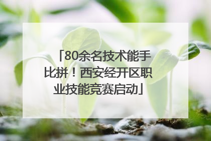 80余名技术能手比拼！西安经开区职业技能竞赛启动