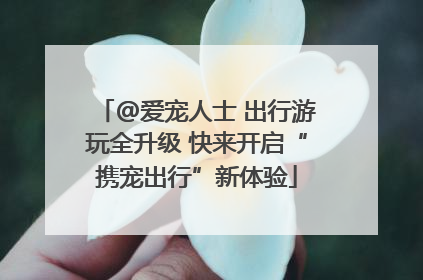 @爱宠人士 出行游玩全升级 快来开启“携宠出行”新体验