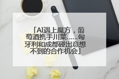 AI遇上魔方，葡萄酒携手川菜……匈牙利和成都碰出意想不到的合作机会