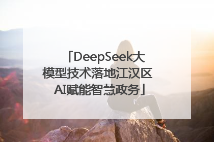 DeepSeek大模型技术落地江汉区 AI赋能智慧政务