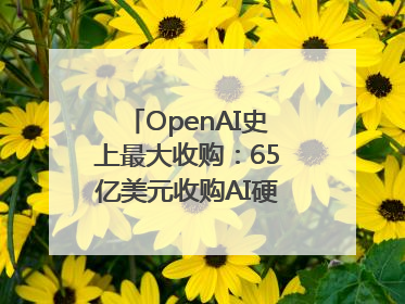 OpenAI史上最大收购：65亿美元收购AI硬件公司，由苹果前设计总监创办