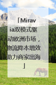Miravia双模式驱动欧洲市场，物流降本增效助力商家出海