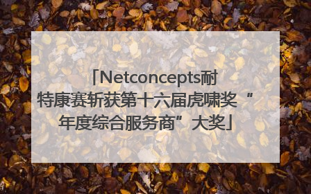 Netconcepts耐特康赛斩获第十六届虎啸奖“年度综合服务商”大奖
